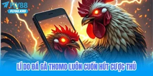 Vì sao đá gà Thomo luôn cuốn hút người chơi